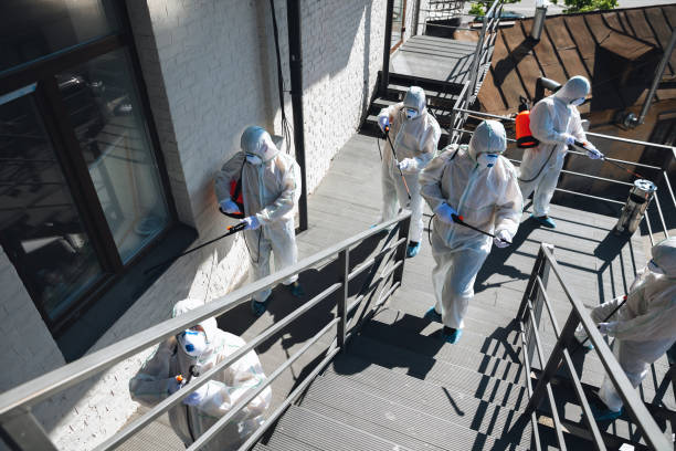 Best Mold Damage Restoration  in Delphi, IN