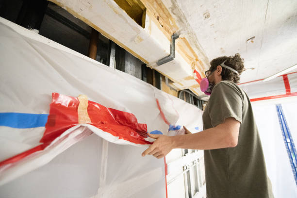 Best Mold Documentation for Insurance Claims  in Delphi, IN